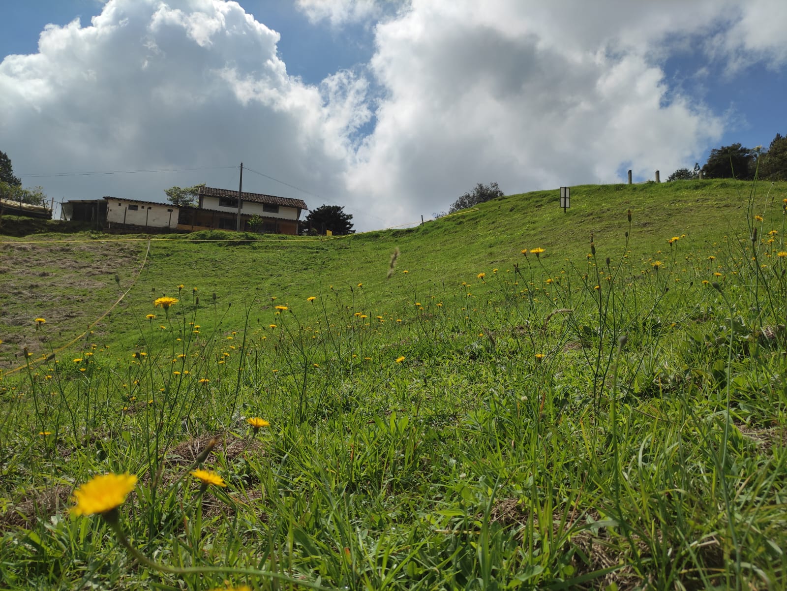 lote en medellin