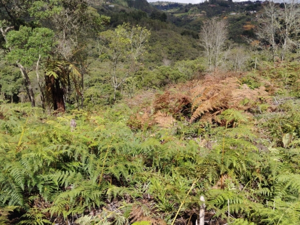 terreno santa elena medellin6